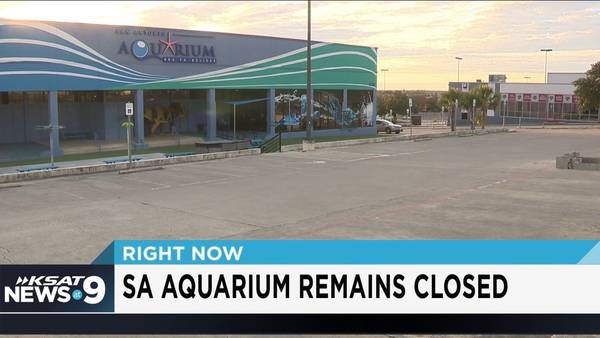 Image: San Antonio Aquarium set to reopen Wednesday after fixing multiple violations